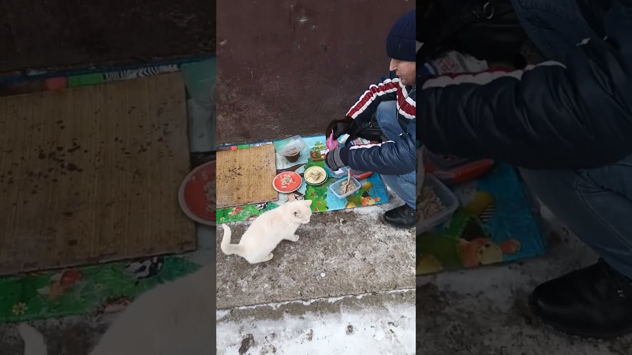Секунды, Которые Растопят Ваше Сердце / Seconds That Will Melt Your Heart 🔥