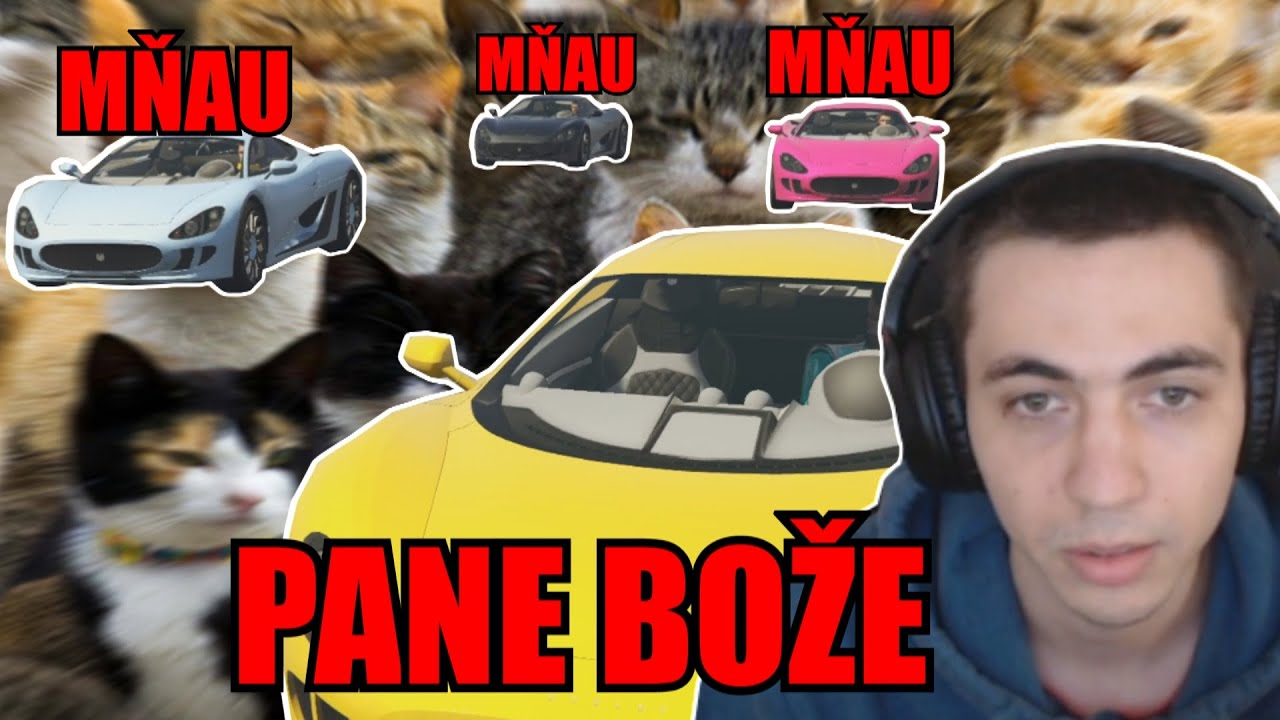 MOJI SPOLUHRÁČI JSOU KOČKY!| GTAV Skilltest /w Cuky, @marwex99, @Morryeej a @DejvikGOD |
