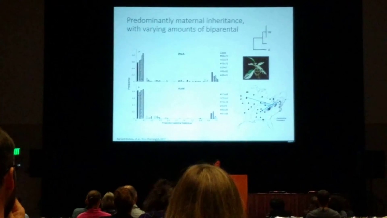 Barnard: The evolution of biparental organelle inheritance