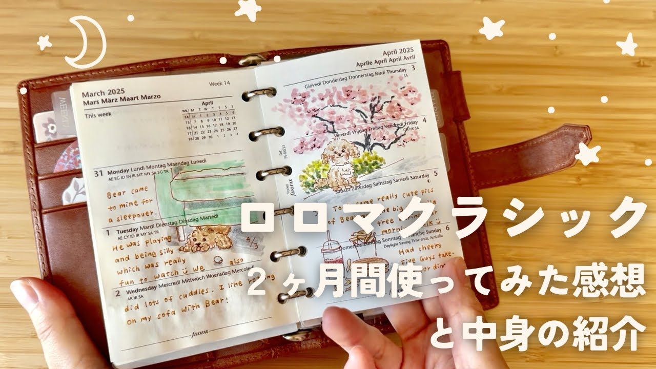 ロロマクラシックのミニ６（ブラウン）を２ヶ月間使ってみた使用感と中身の紹介｜手帳パラパラ｜システム手帳の使い方