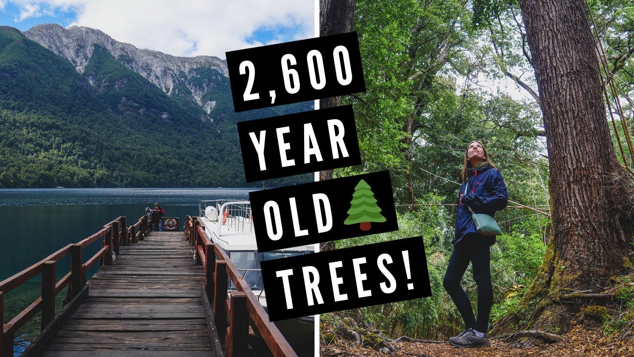 Is this the MOST BEAUTIFUL PLACE IN PATAGONIA? 🚤🌳 Visiting Los Alerces National Park in Argentina 😍🌄