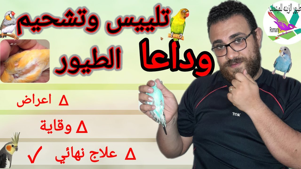افضل علاج التلييس والتشحيم عند الطيور مجرب مضمون امان