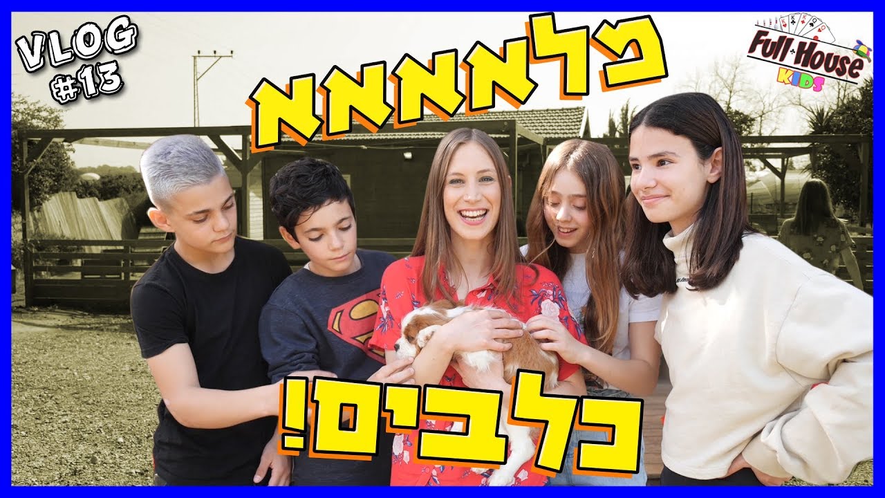 הלכנו לבית ספר לאילוף כלבים! פגשנו כלב שיודע חשבון!