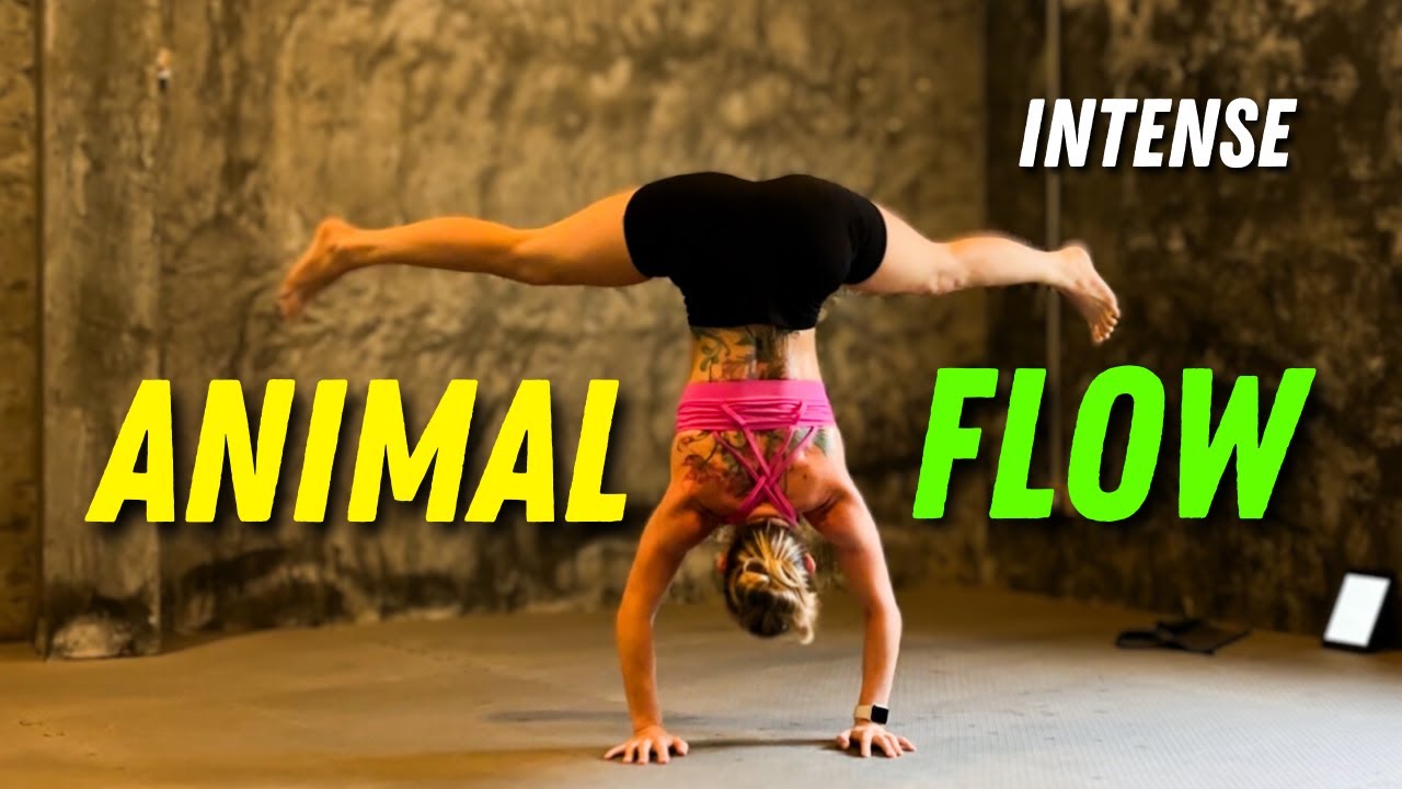 20 min Animal Flow HIIT: Advanced Primal Movement Workout - INTENSE:  Let’s Flow!  🐈‍⬛