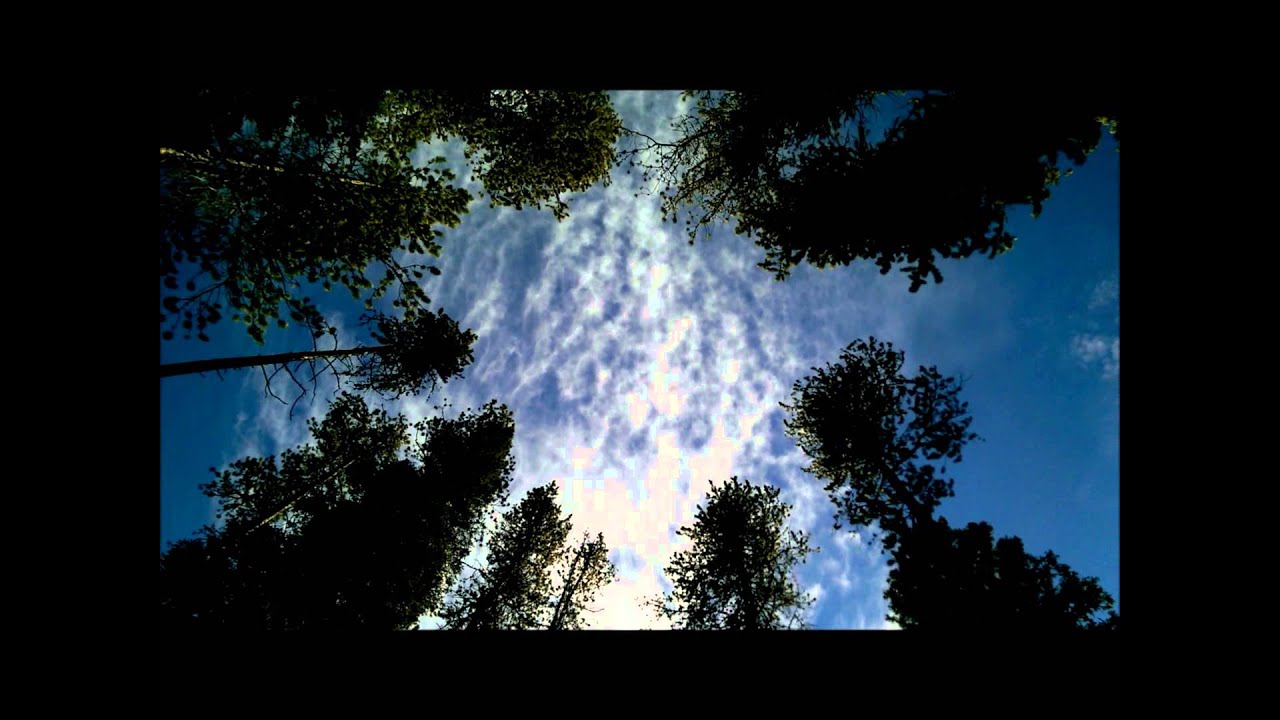 Deya Dova - The Jasmani Garden - Meditation