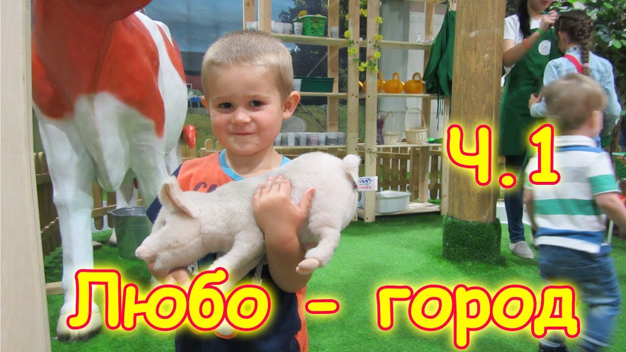 Семья Бровченко. Поездка в Любо-город (детский развлек. центр) ч.1 (05.17г.)