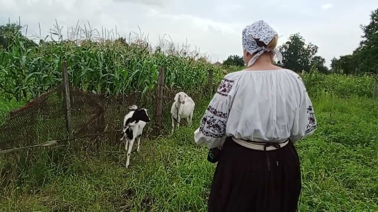 # Клуб Берлози#  