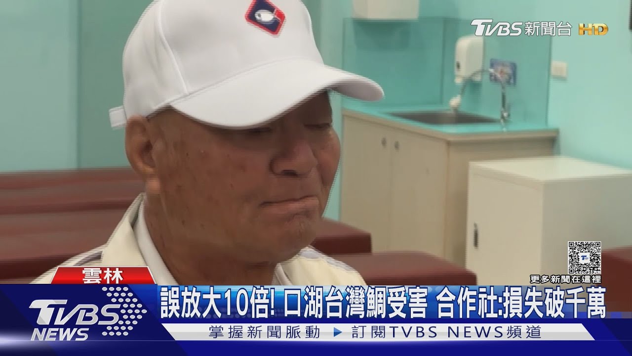 誤放大10倍!口湖台灣鯛受害 合作社:損失破千萬｜TVBS新聞 @TVBSNEWS01