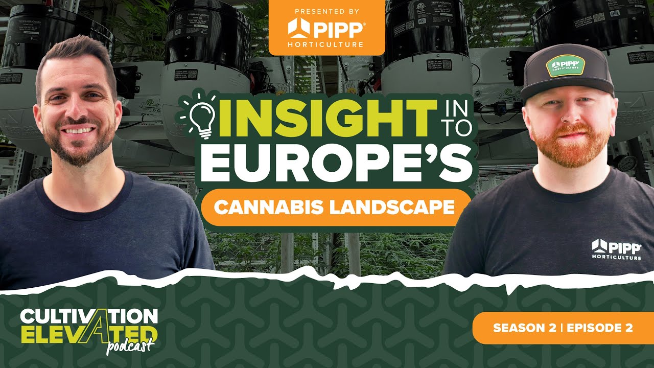 Insights into Europe's Cannabis Landscape