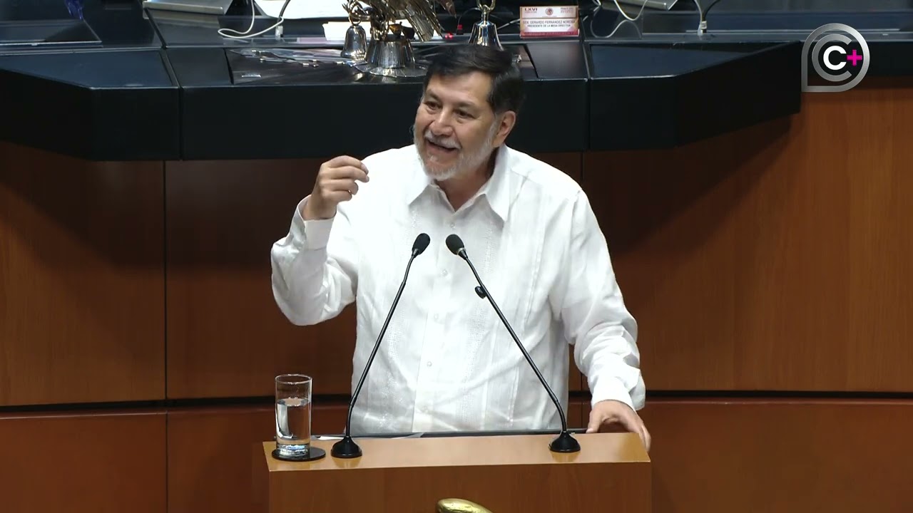 El pueblo de México apoya a su presidenta, Claudia Sheinbaum Pardo: Sen. Fernández (GPMorena)
