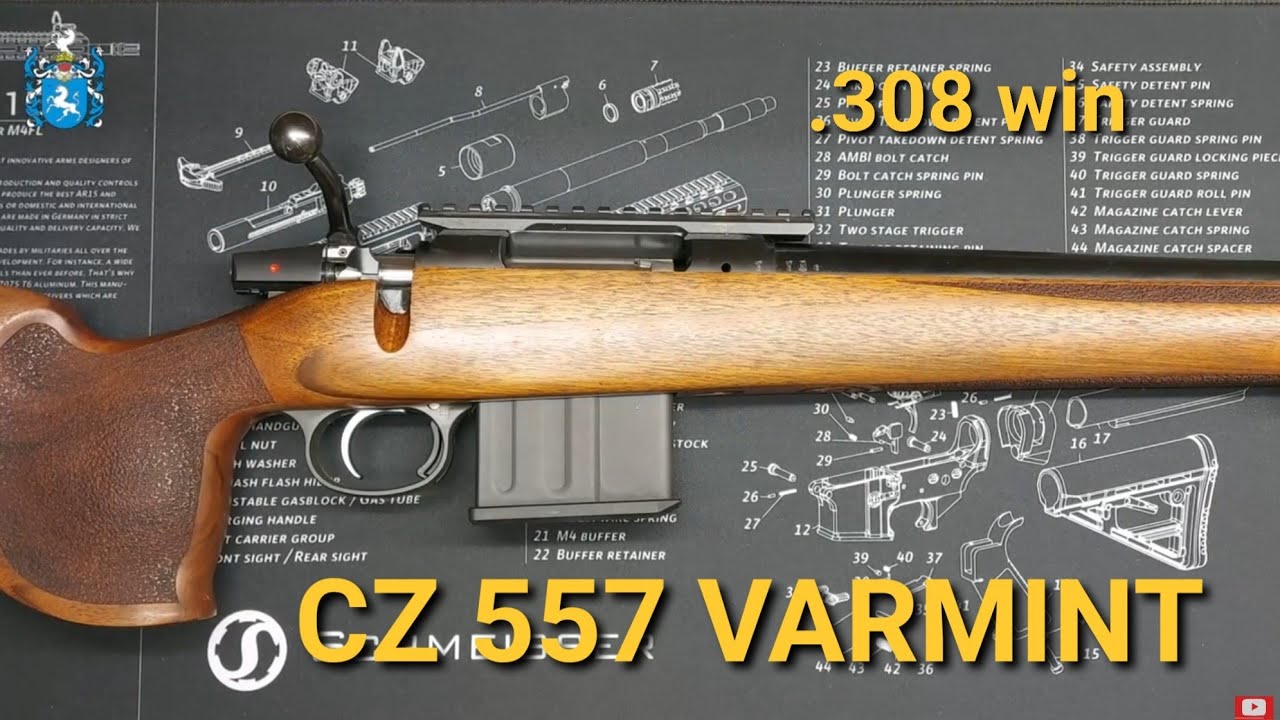 CZ 557 Varmint 308 win
