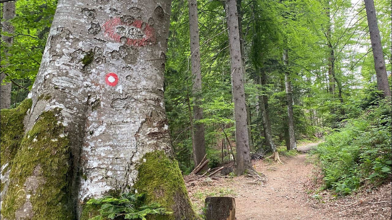 Preko Pohorja - Crossing Pohorje