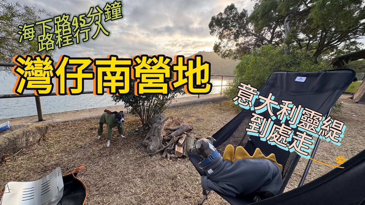 灣仔南營地｜意大利靈緹到處走｜Walk around with Italian greyhound｜Wan Tsai South Campsite