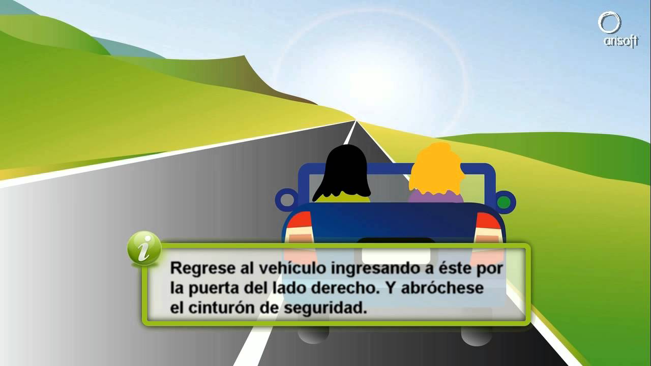 Manejar seguro Chile. Detención y estacionamiento en autopista.