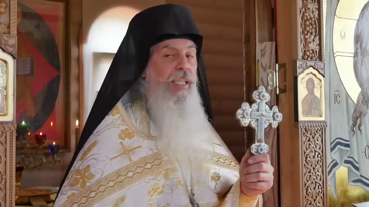 Выйдите из среды их. Схиигумен Гавриил.