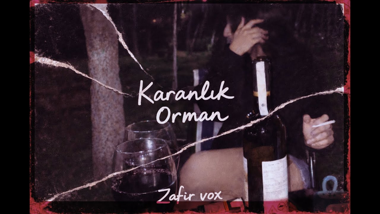 KARANLIK ORMAN