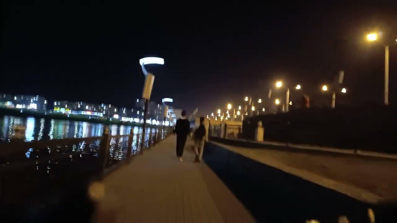 дса(1)