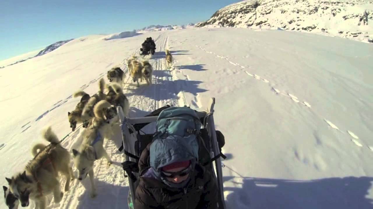 Pirhuk's Greenland Dog Sled Expedition 2013