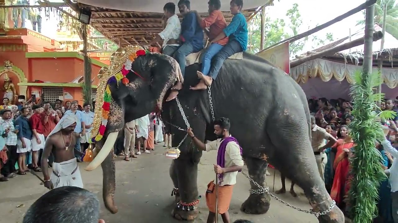 Tattamangalam Kada Vela