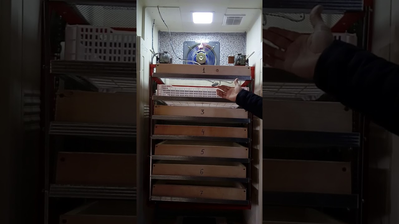 Inqubator AHMA 2018.Inkubator satisi