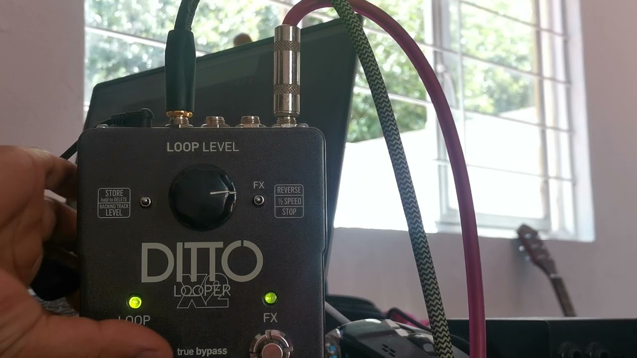 TC ELECTORNICS. Ditto LOOPER X2  venta Mercado libre