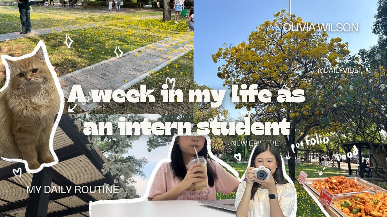 A week in my life as an intern student at Rangsit University, Thailand 🇹🇭 Job,University,Portfolio