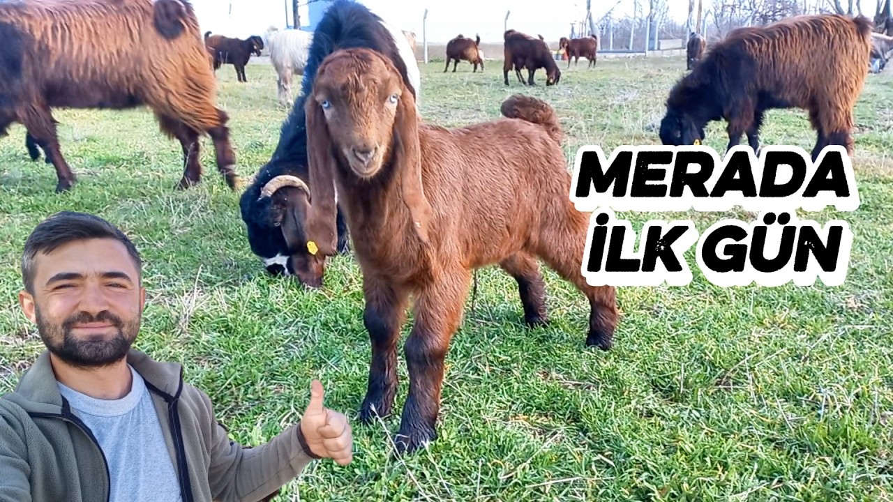 TOPRAK, MERADA! | Halep Oğlağımızın Merada İlk Günü