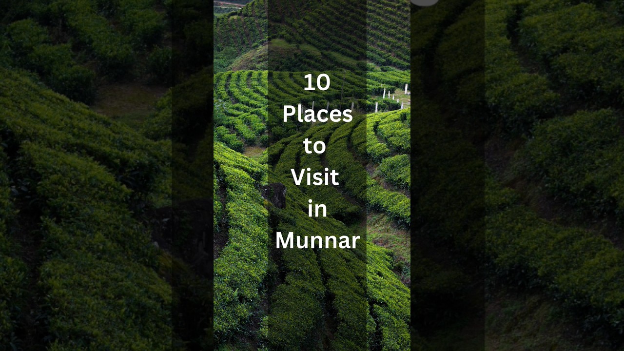 Best Places in Munnar #munnar #kerala #munnartouristplaces #keralatourism #keralagram #wayanad