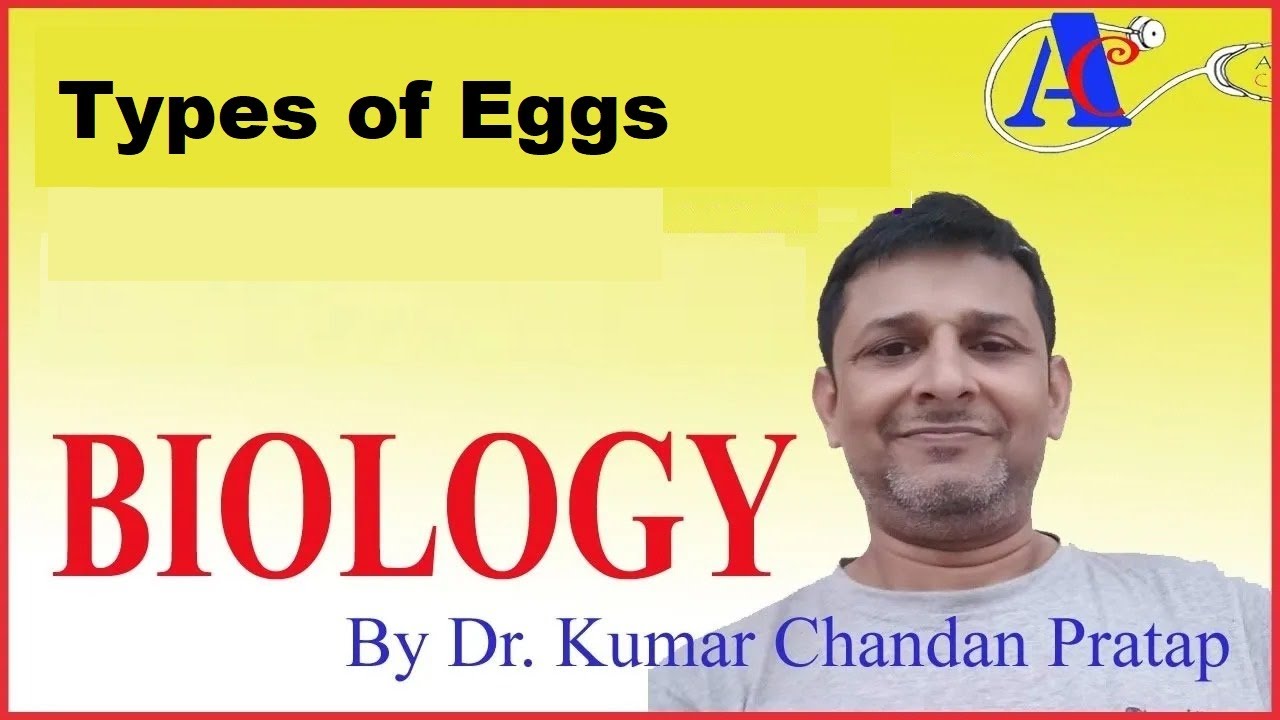 Types of Eggs.