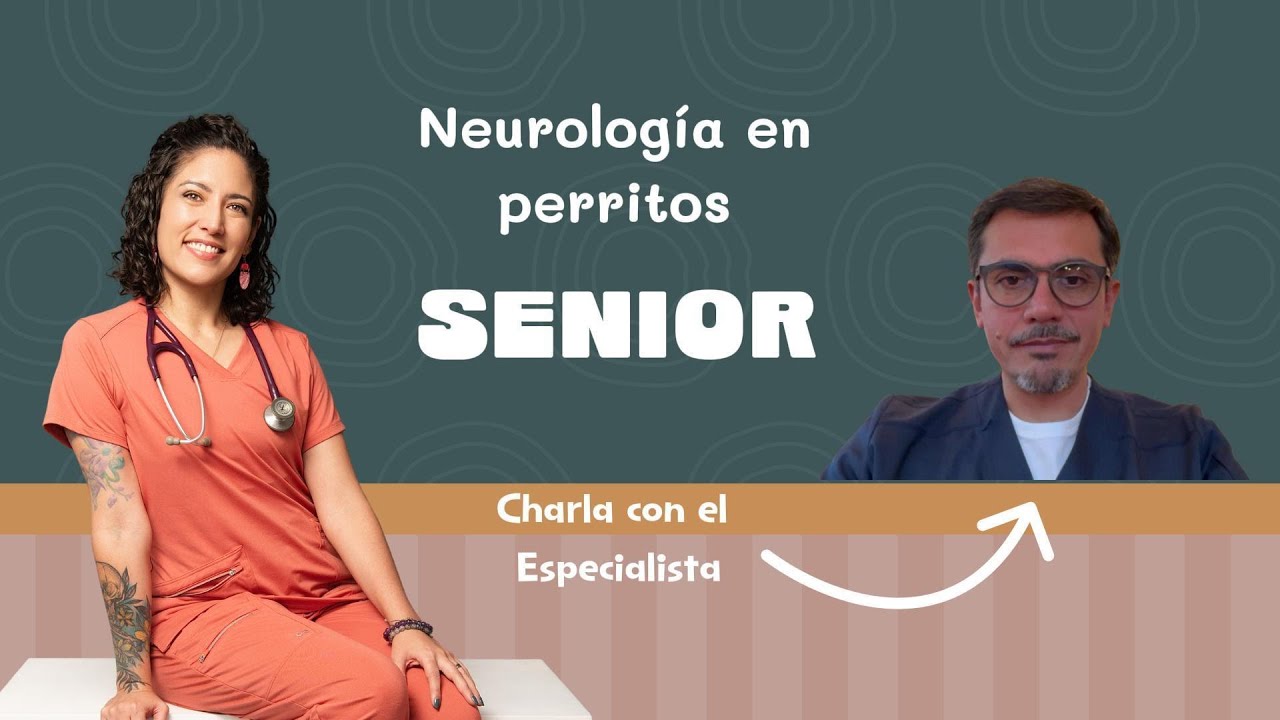 Hablemos sobre Neurología en perritos mayores de 7 años