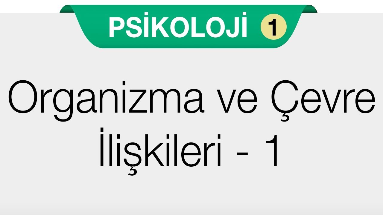Psikolojinin Temel Süreçleri - Duyum ve Algı 1.Bölüm