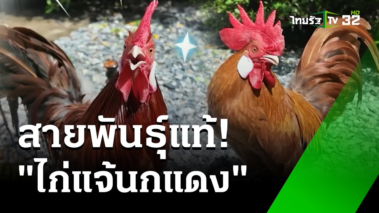 หนึ่งเดียวในโลก 