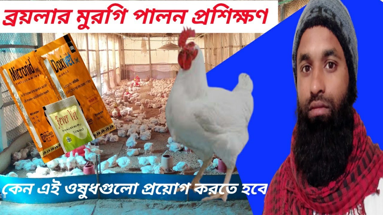 ব্রয়লার মুরগি পালন প্রশিক্ষণ#কোন_বয়সে_মুরগিকে_কি_কি_ওষুধ_প্রয়োগ_করতে_হবে#ronyagro #ব্রয়লারমুরগি