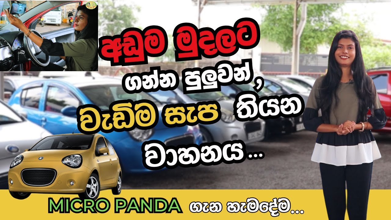 ලංකාවේ ලොකුම Panda එකතුව බලන්න එන්න...