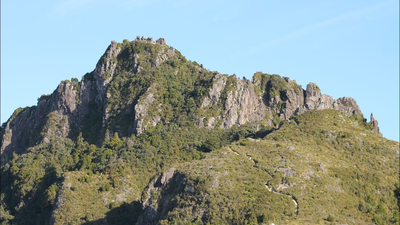 Novice Hiker Takes On The Pinnacles (Kauaeranga Kauri Trail), Coromandel Peninsula, New Zealand 🇳🇿