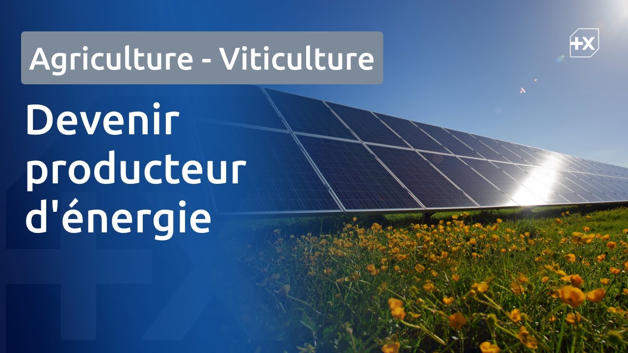 [Banque Populaire] Revenus agricoles : devenez producteur d'&eacute;nergie ! 🌱