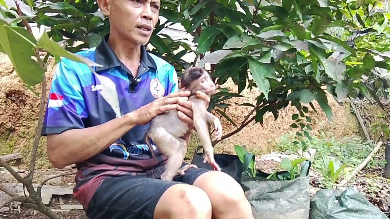 Одно из новых лиц друга Барона..🥰🥰🥰🥰🐒🐒🐒🐒