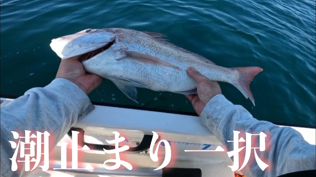 【瀬戸内タイラバ】完全に粘り勝ち！！【ホープボート N-325S III】