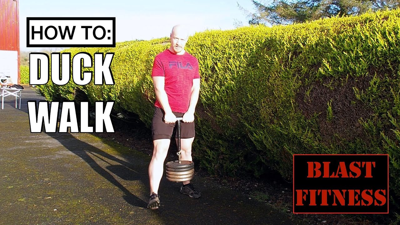 How to do the Duck Walk | Strongman Weighted Carry seen in WSM competition (WORLDS STRONGEST MAN)