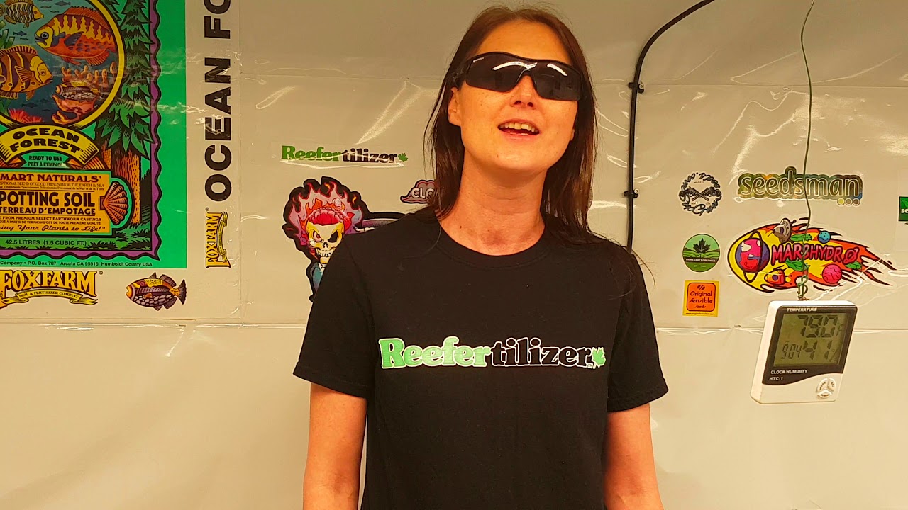 Reefertilizer is sponsoring new growers
