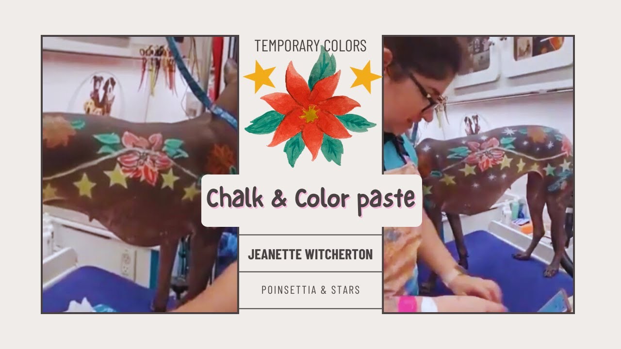Poinsettia Design Using OPAWZ Pet Hair Chalk & Color Paste Temporary Dog Dyes #opawz #dog #pets