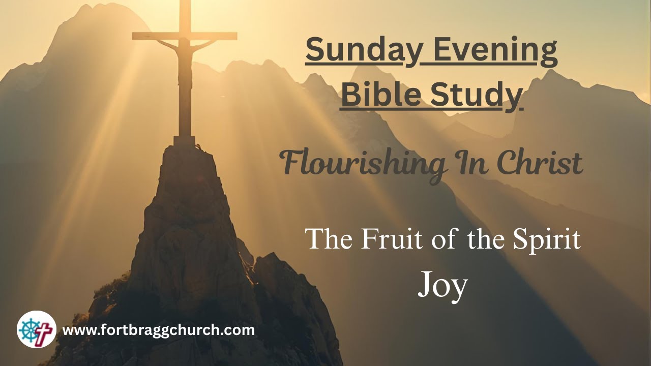 Flourishing In Christ The Characteristics of Joy