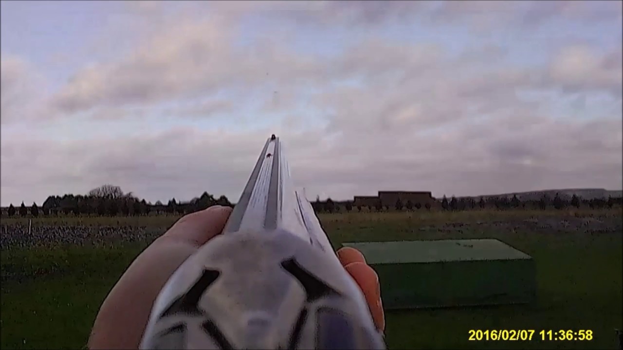 Shotgun, Clay shooting, Game Hunting 