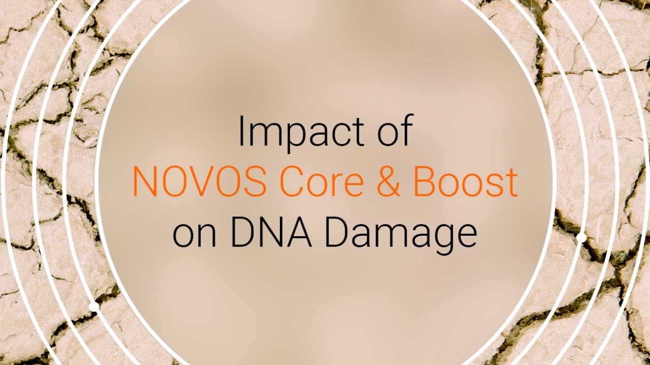 Study: NOVOS Ingredients Support Healthy DNA and Modify Senescent Cells