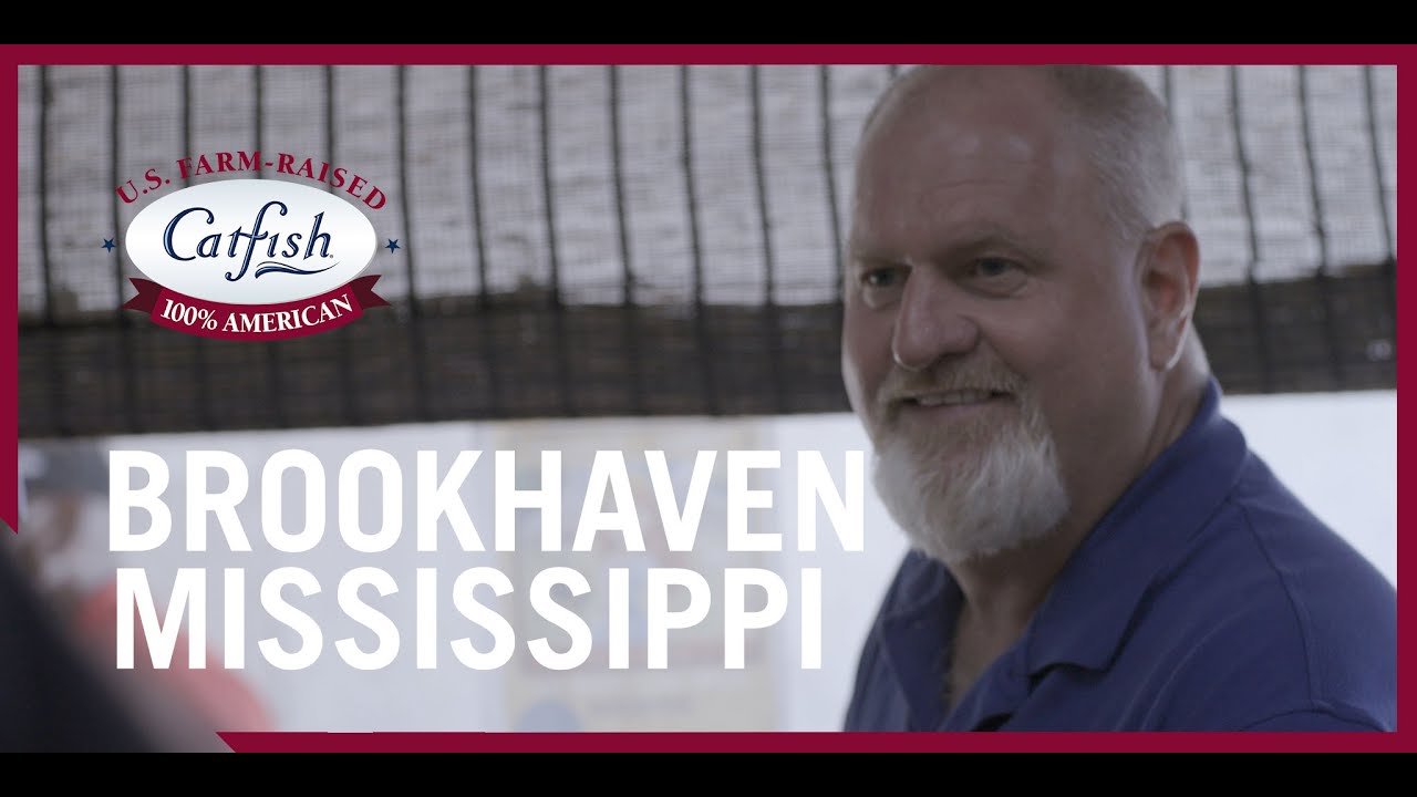 U.S. Catfish Trail - The Fish Fry - Brookhaven, MS