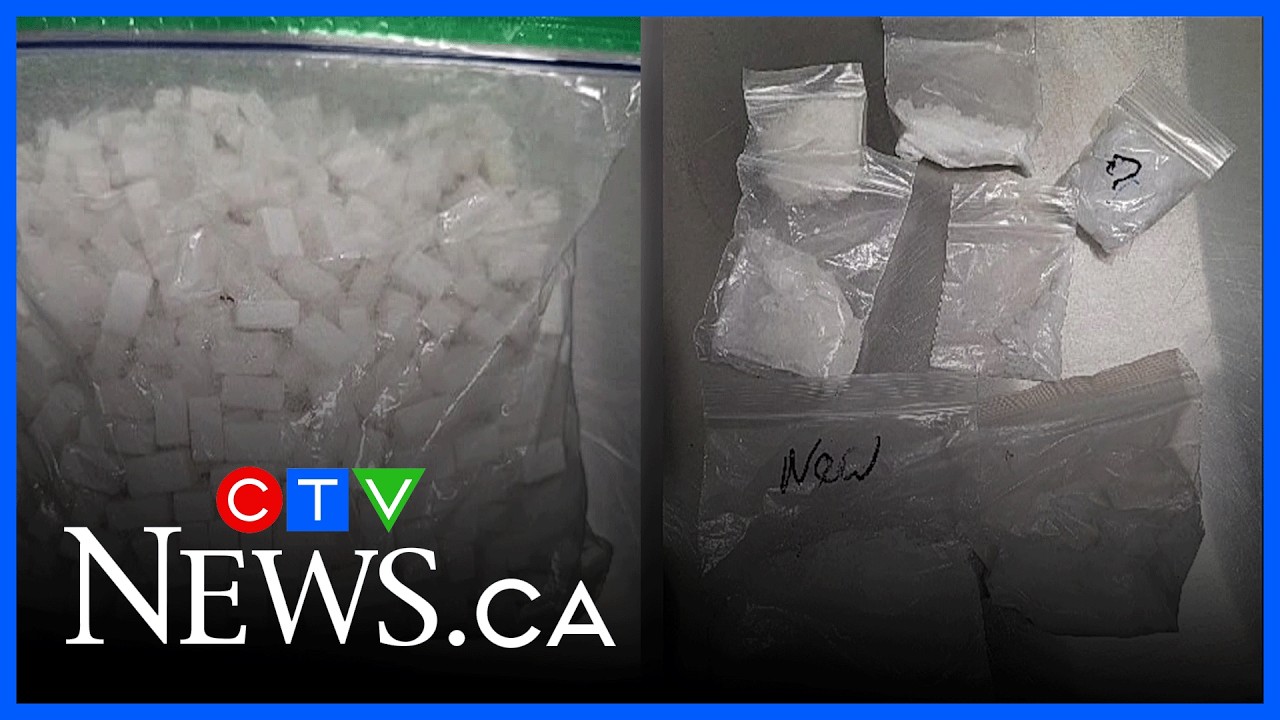 Automated licence plate reader leads to charges