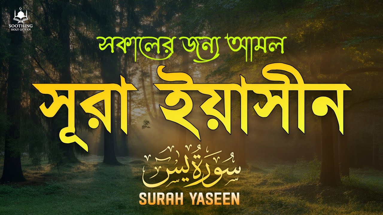 রমজানের সকালের জন্য সূরা ইয়াসীন (سورة يس) | Surah Yaseen Tilawat | শান্তি ও বরকতের কুরআন তেলাওয়াত 