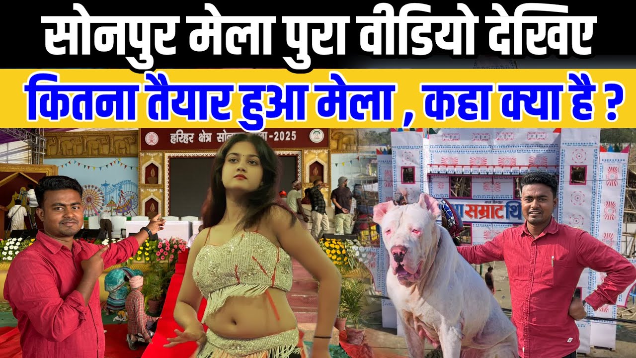 Sonpur मेला पुरा वीडियो देखिए कितना सजा, क्या खास है | Sonpur Mela 2025 | Sonpur mela full video 