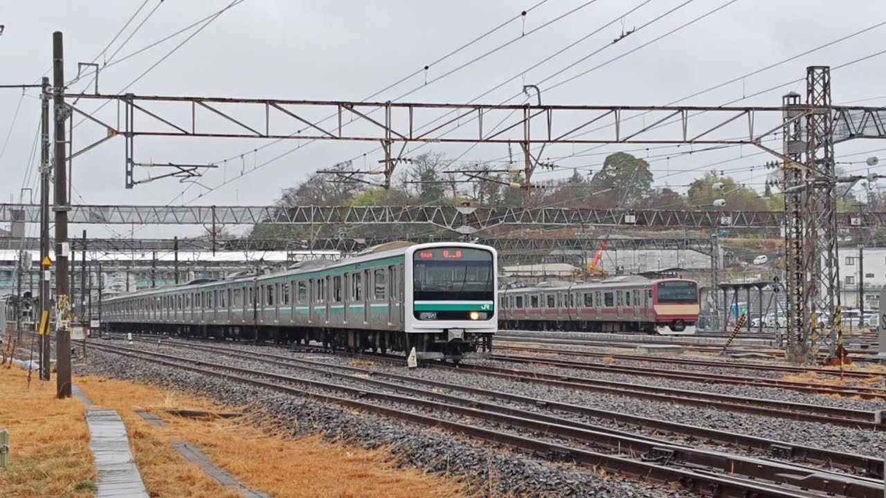 雨の日の回送列車☂️ E657系〜E501系✨ ゴマイチくんはおめめをケガしてましたが元気でした🤗 2026.2.25
