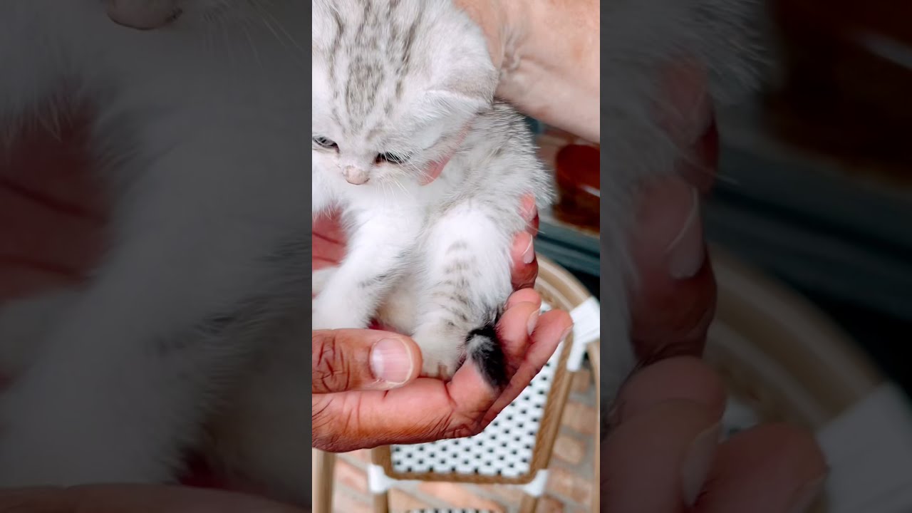 First meeting with Smokey